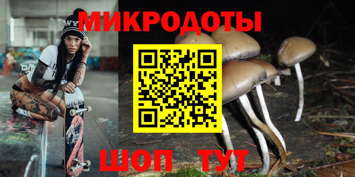 Славгород  Галлюциногенные грибы Psilocybe  Галлюциногенные грибы ЛСД  Вход с VPN 